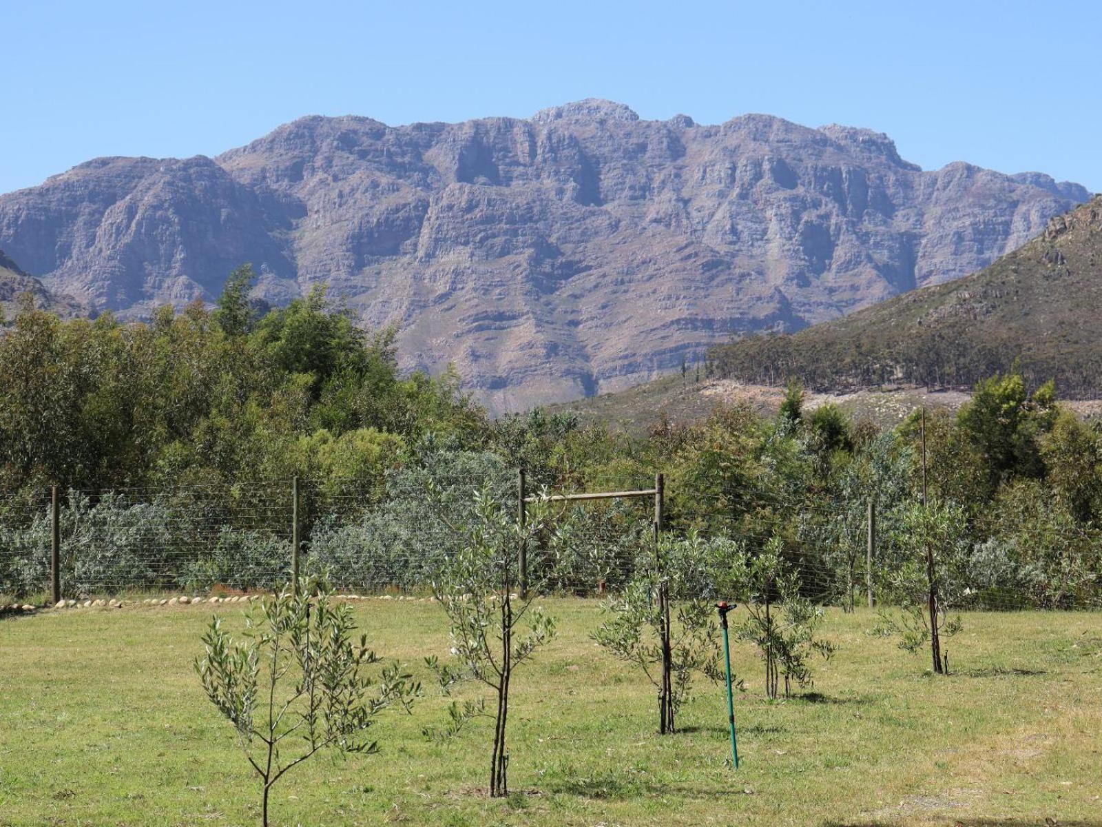 La Ferme Guest Farm - Hot Tubs Villa Franschhoek Exterior photo