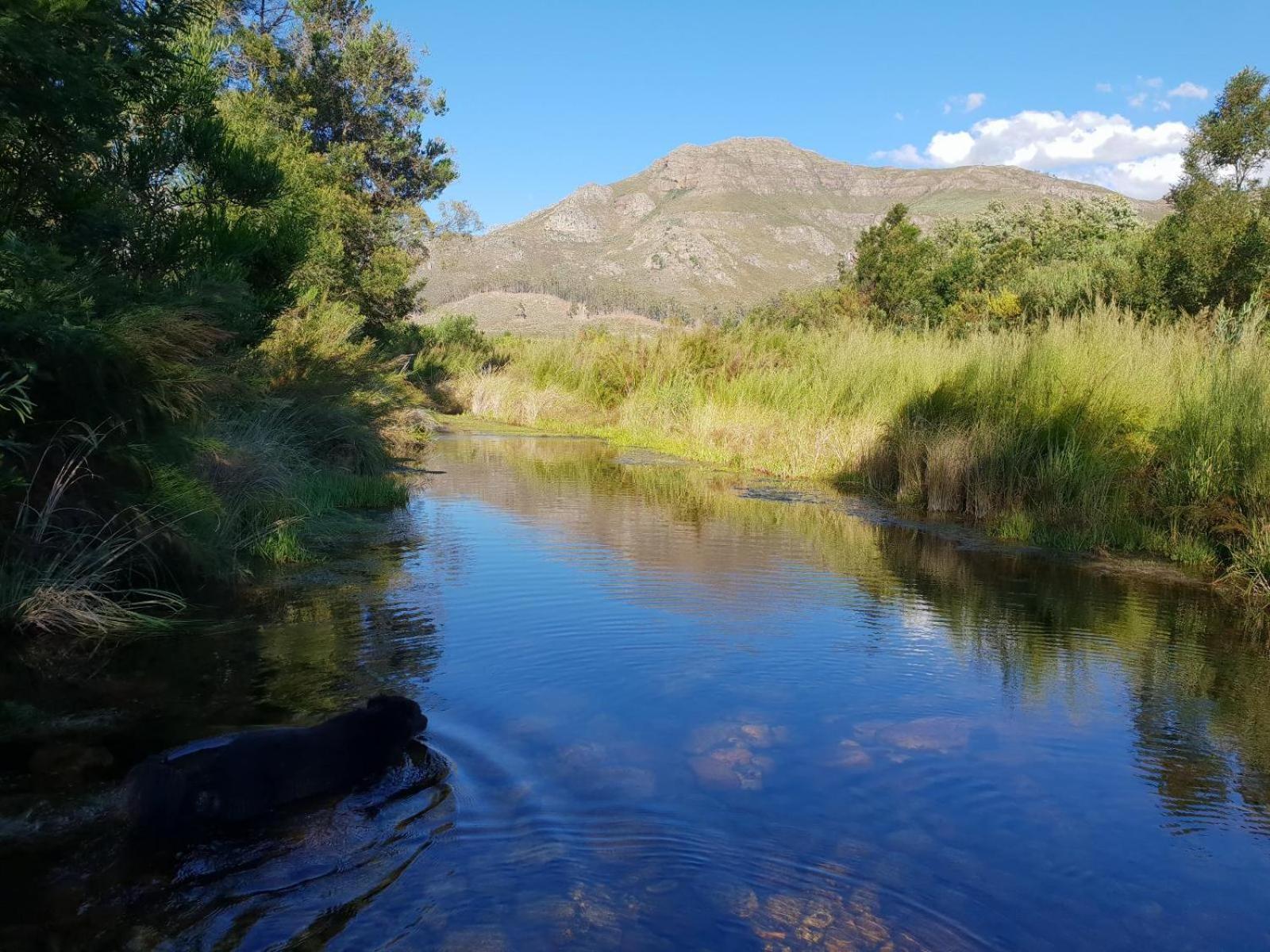 La Ferme Guest Farm - Hot Tubs Villa Franschhoek Exterior photo
