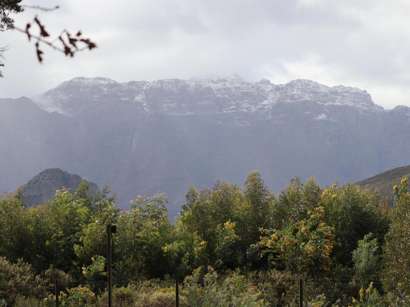 La Ferme Guest Farm - Hot Tubs Villa Franschhoek Exterior photo